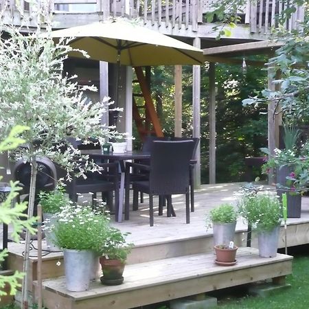 Chalets Et Studios Le Vent Du Nord Lac-Superieur Екстериор снимка