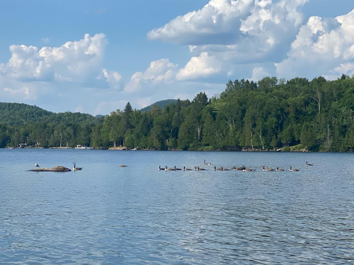 Chalets Et Studios Le Vent Du Nord Lac-Superieur Екстериор снимка