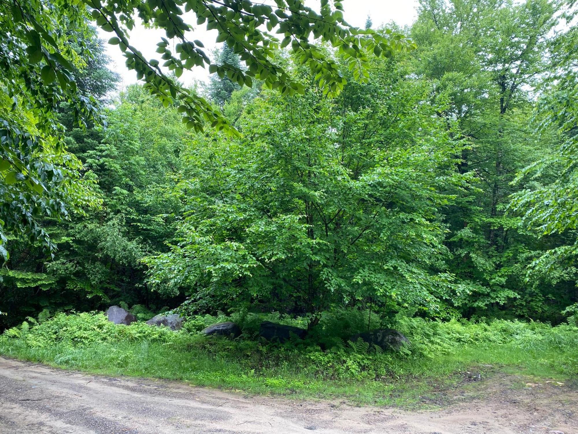 Chalets Et Studios Le Vent Du Nord Lac-Superieur Екстериор снимка