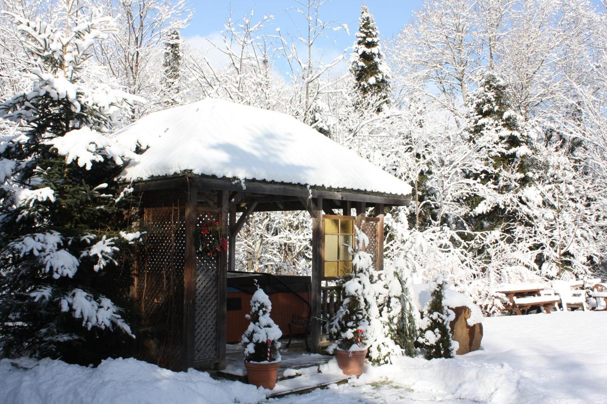 Chalets Et Studios Le Vent Du Nord Lac-Superieur Екстериор снимка